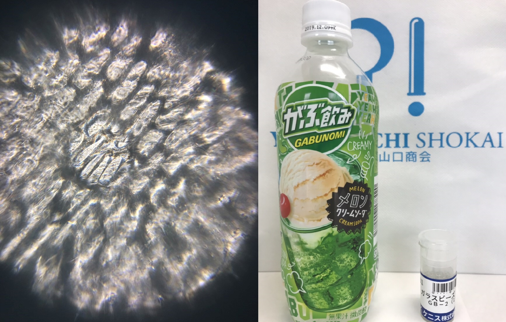 夏休みの自由研究に ケニス株式会社 株式会社山口商会 宮崎県の理化学機器 分析 校正 移設